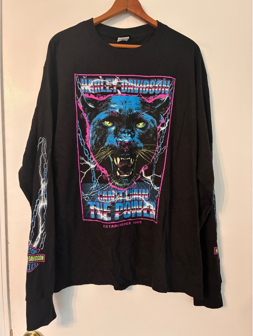 Harley-Davidson Black Panther Graphic Long Sleeve Shirt Large